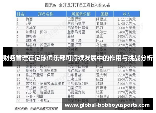 财务管理在足球俱乐部可持续发展中的作用与挑战分析
