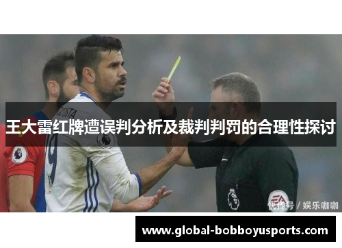 王大雷红牌遭误判分析及裁判判罚的合理性探讨