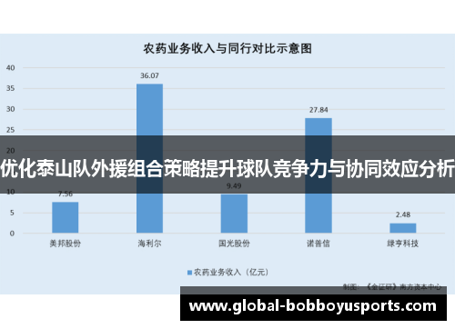 优化泰山队外援组合策略提升球队竞争力与协同效应分析