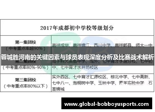 蓉城胜河南的关键因素与球员表现深度分析及比赛战术解析