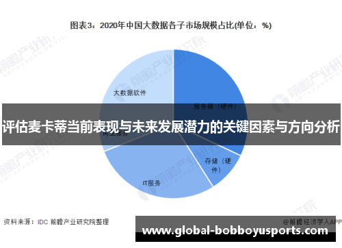 评估麦卡蒂当前表现与未来发展潜力的关键因素与方向分析