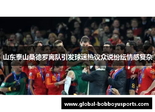 山东泰山桑德罗离队引发球迷热议众说纷纭情感复杂