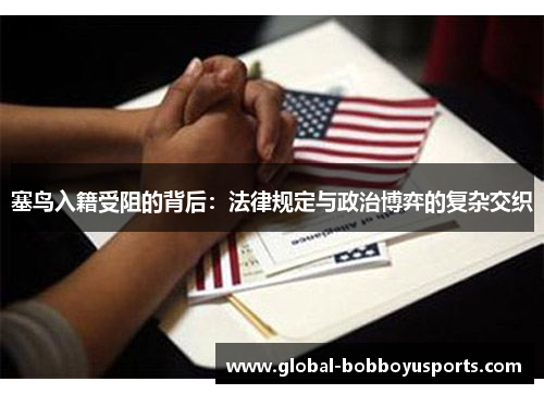 塞鸟入籍受阻的背后：法律规定与政治博弈的复杂交织