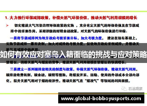 如何有效应对塞鸟入籍面临的挑战与应对策略